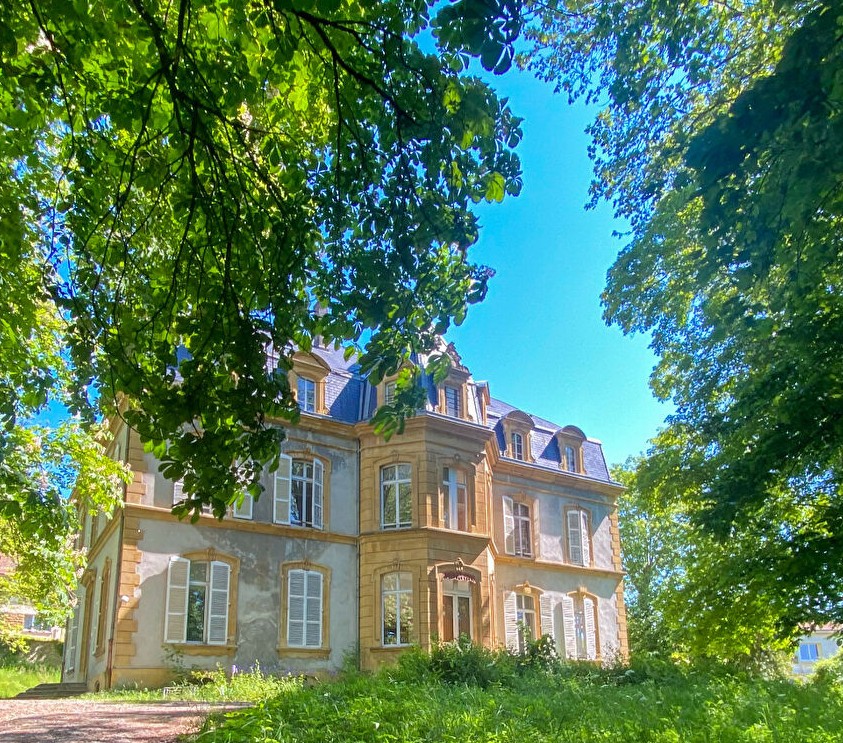 LE DOMAINE DU CHATEAU - ARS SUR MOSELLE