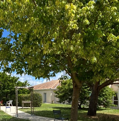 Du Lac SAINT-PALAIS-SUR-MER - ROYAN - 17