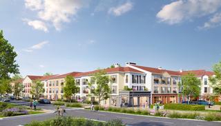 TILIA 6