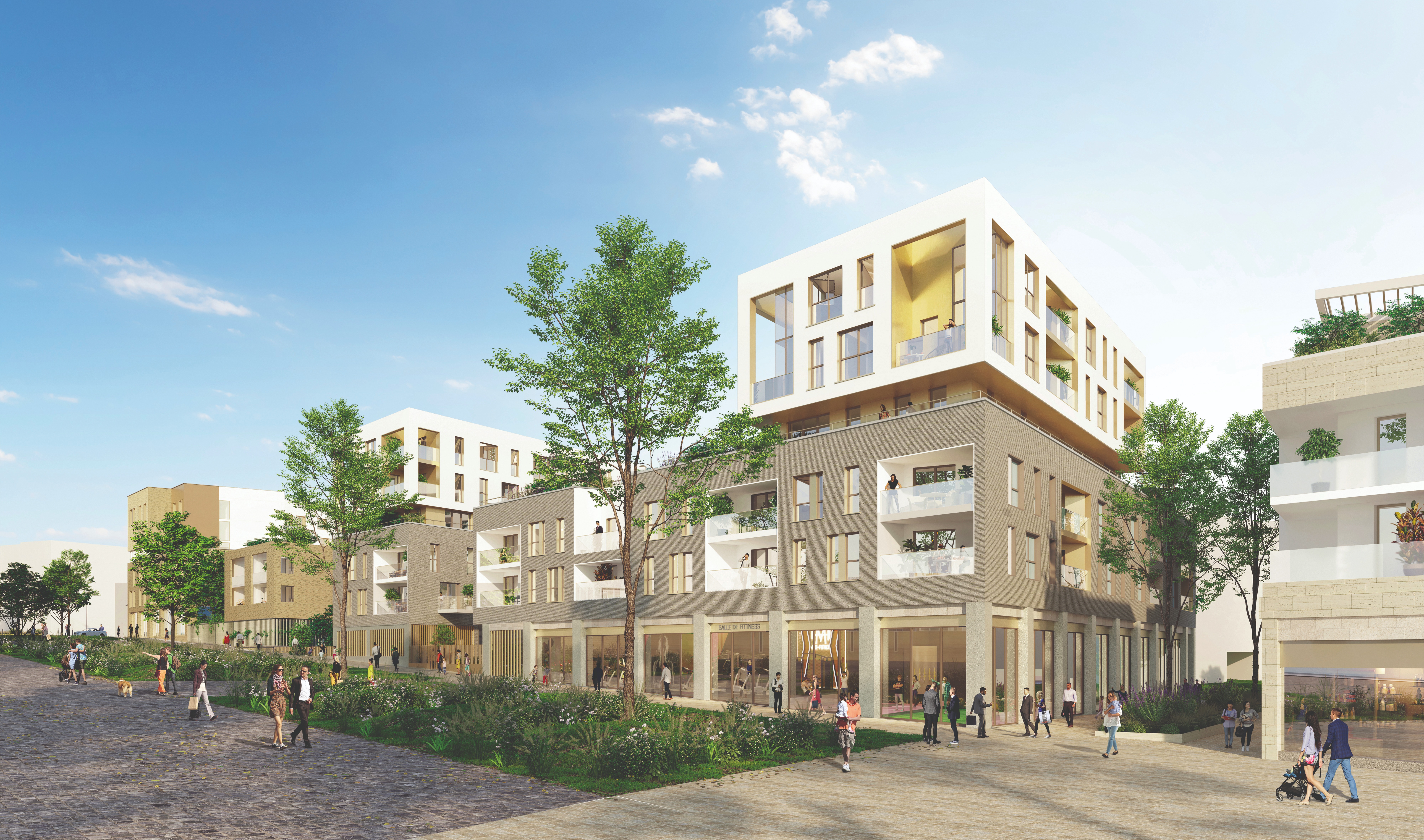 Rooftop Distinction
